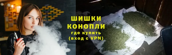 хмурый Касимов