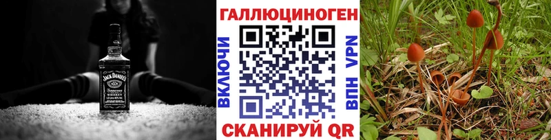 Купить  Дагестанские Огни  Псилоцибиновые грибы Magic Shrooms 