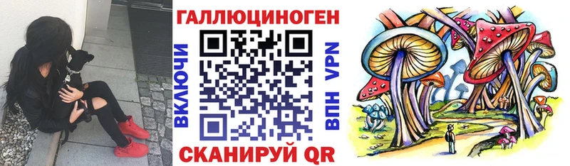 Псилоцибиновые грибы мухоморы Дагестанские Огни